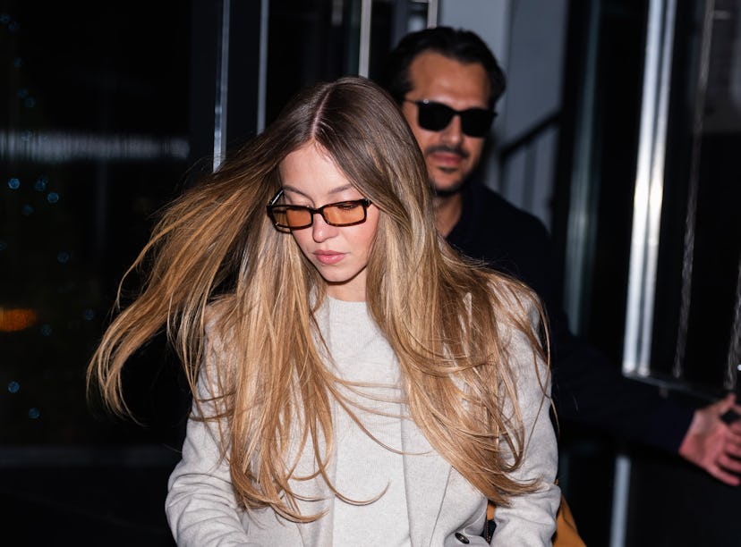 Sydney Sweeney deleted an Instagram photo kissing her fiancé Jonathan Davino.