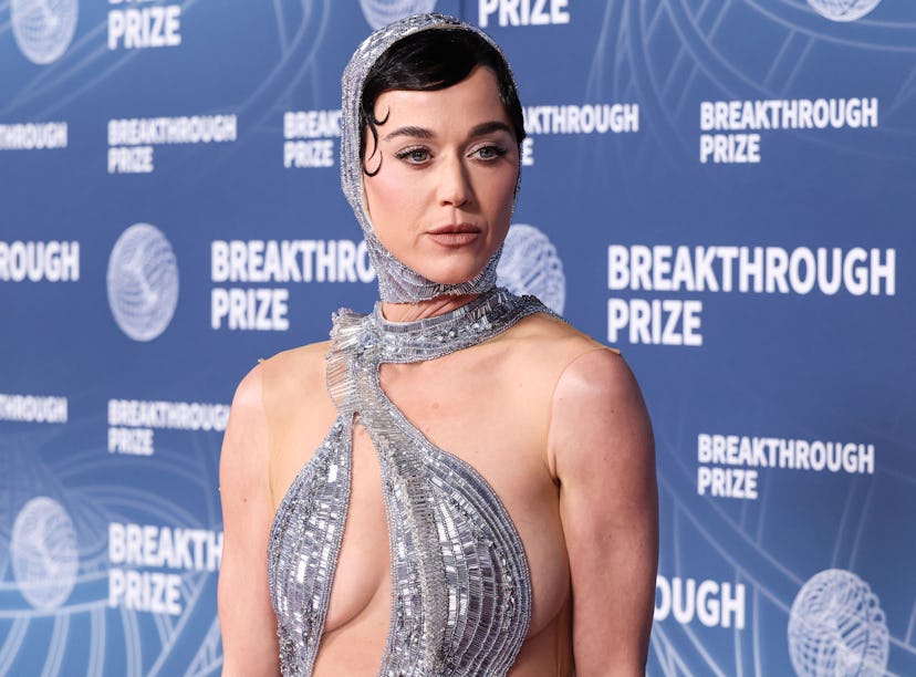 Katy Perry shared a message to her fans amid online hate.
